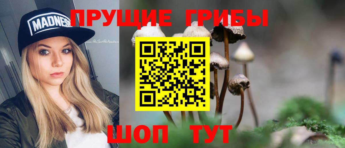 Галлюциногенные грибы мицелий Осинники